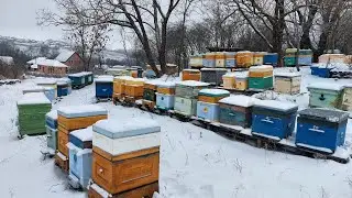 5 января 2024 г.