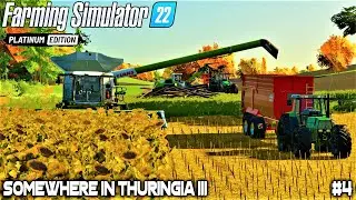 ПРОДАЖА ЛЕСА, ПОКУПКА ПОЛЯ И УБОРКА ПОДСОЛНУХА | FS22 | Somewhere In Thuringia III - Timelapse #4