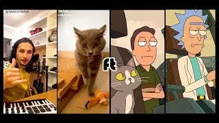 Alugalug Cat 2.0 X The Kiffness  ft. Rick and Jerry (Why can you talk?)