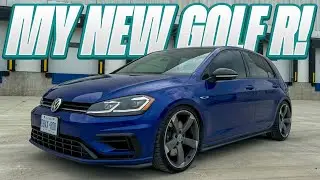 Buying The Best MK7.5 Golf R On The Market!
