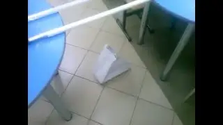 Ионолет в закрытом коробе. Проверка закона сохранения импульса.