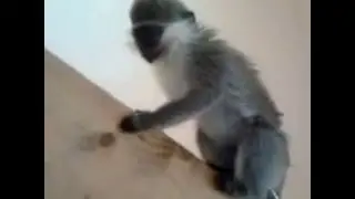 Без названия 240p