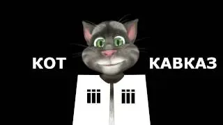 Кот Кавказ - Черкес