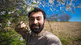 We Created a WALNUT GARDEN! - Rural Life  | spring in the field