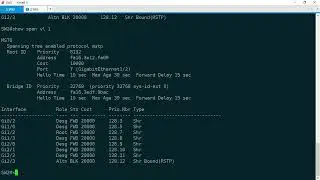 LAN Troubleshooting: Ticket #3 — Cisco CCNA CCNP Exam Review