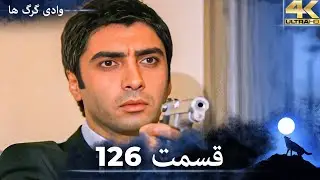 وادی گرگ ها | 126. قسمت را تماشا کنید (Farsi Dubbed)