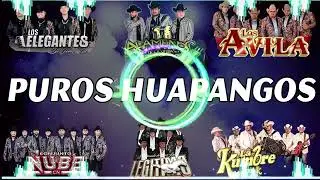 Puros Huapangos Mix Para Bailar 2023