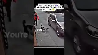 Собака спасла