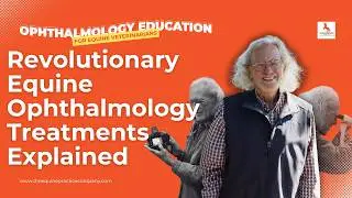 Revolutionary Equine Ophthalmology Treatments Explained