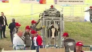 Открытый Чемпионат на звание «Лучший ветеринарный ортопед России». Часть 6.
