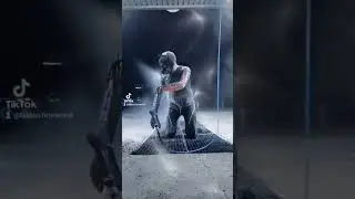 Puppy carwash