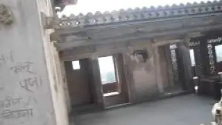 Monkeys at the Jahangir Palace, Orccha, MP, India