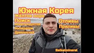 Южная Корея. Поиск морепродуктов минералов древностей.  Жёлтое море отливы приливы.