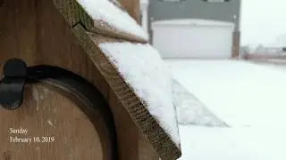Snowfall