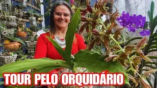 ORCHIDARY TOUR AND CULTIVATION TIPS | JD Orquídeas