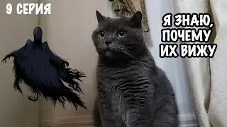 CAT HORROR STORY LAST EPISODE | THE MYSTERY REVEALED!