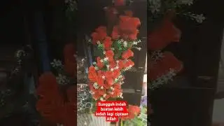 #shortvideo