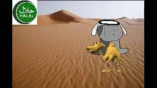 dummyarapic.mp4