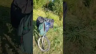 Были на рыбалке #рыбалка #carpfish