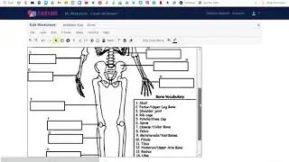 Teachermade: Create Worksheet & Short Answer
