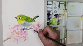 How to paint a cute bird and cherry blossoms 水彩畫櫻花與小鳥