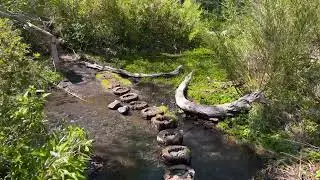 Cute Forest River Nature Walk 4K (With Ambient Nature Sounds And Music)