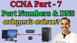 Explanation about Port Number & DNS in tamil [CCNA Part 7] |  Network Ravi