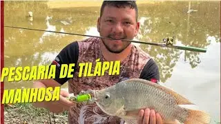 O SEGREDO para PESCAR TILÁPIA MANHOSA🎣 #pescaria #tilapia #dicas 
