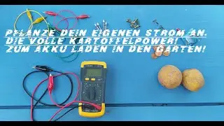 Pflanze dein eigenen Strom an! Strom aus der Kartoffelbatterie!