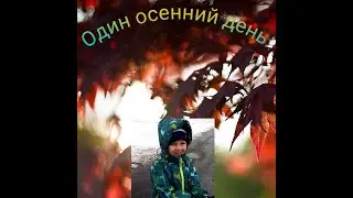 Один осенний день. Кадры из жизни...