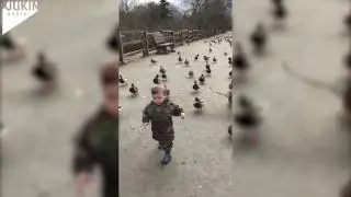 Toddler Leads Duck Army