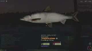 Fisher Online : Печора. Нельма.