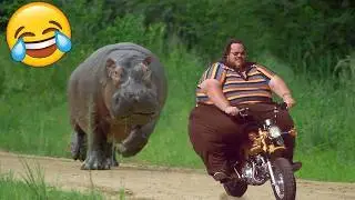 TRY NOT TO LAUGH 😆 Best Funny Videos | Fails Compilation 😂😁😆 Memes Of 2026