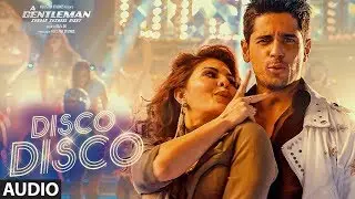 Disco Disco Bole DJ Merin (A Gentleman) Flp View
