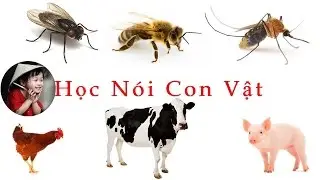 Bé học tên các loài vật qua hình ảnh tiếng kêu - phần 03