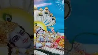 #ekadashi 🙏#narayan ❤️#laxminarayan 🥰#hari 🌹#shorts #viral #trending