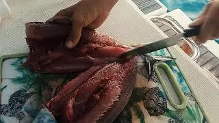 Il pesce è commestibile?