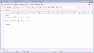 Beginner PHP Tutorial   44   Expression Matching