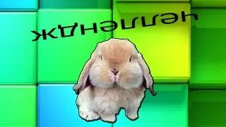 CHELLENGE//ЧЕЛЛЕНДЖ ПУХЛЫЙ КРОЛЬ)))