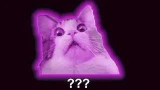 15 Cat 