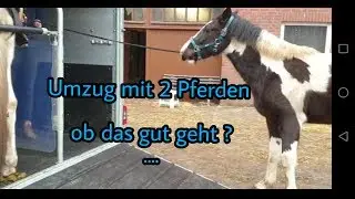 Meine Pferde ziehen um ! | Neuer Stall | FMA ❤