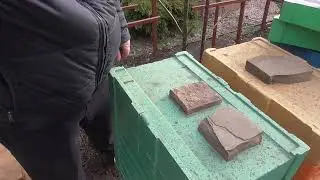 Зимовка 2021- 2022 один пчелопакет минус