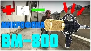 МЕСЯЦ ИСПОЛЬЗОВАНИЯ МИКРОФОНА BM-800/ПЛЮСЫ И МИНУСЫ!