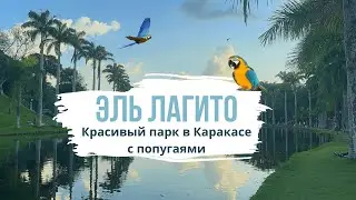 Венесуэла. Гуляем по живописному парку Каракаса!