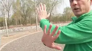 Xing Yi Metal Fist and Kick 100 DAY CHALLENGE 