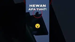 Horor!! Hewan Misterius. Menyeramkan!! 😯 #shorts #horor #misteri