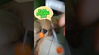 MATUMAL ANG BENTA | MAG LATO LATO NALANG!😂😅