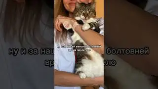 Девчонки надранились 🥔🍾 