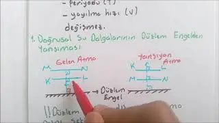 Su Dalgaları Konu Anlatımı 1 (10. Sınıf)