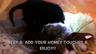 Puppy Home & Gardening Show: Teepee Assembly